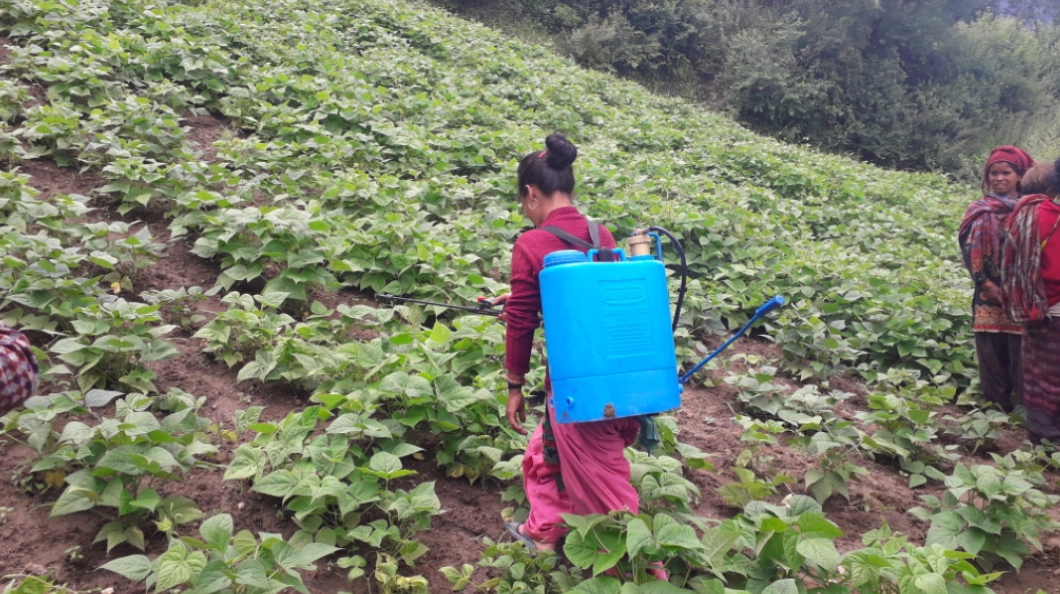 High Value Agriculture Inclusive Business Pilot (HVA-IB Pilot)