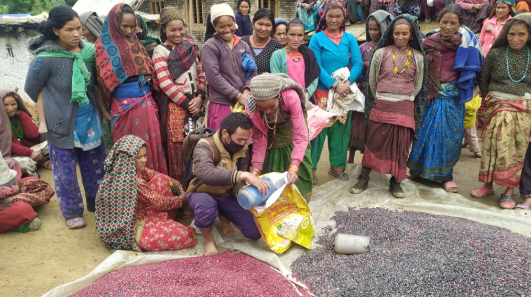 Rural Access Programme 3 (Socio-economic Development)