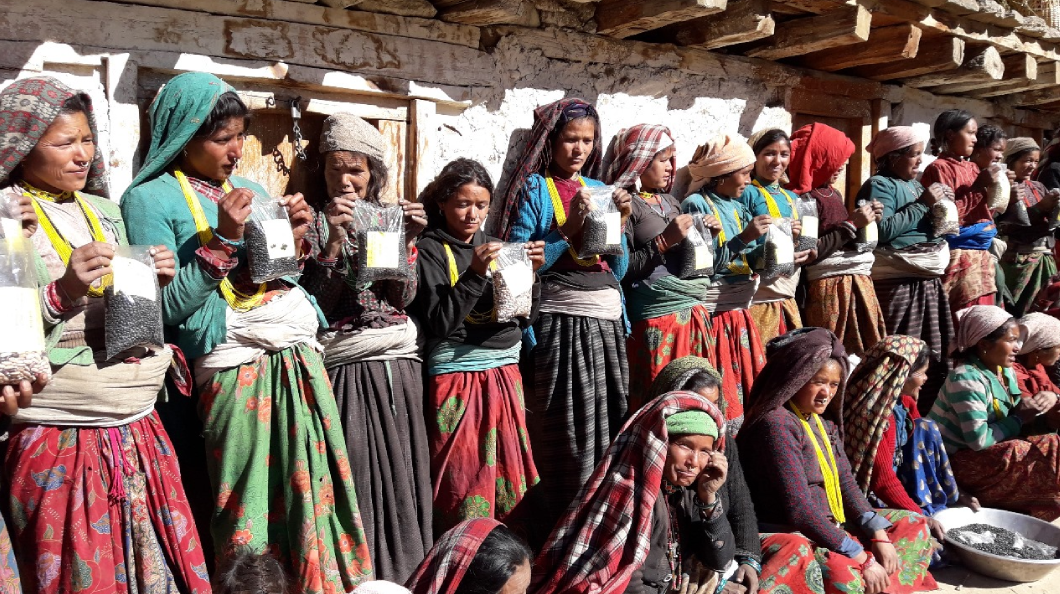 Women Empowerment and Livelihood Improvement (WELI)